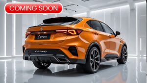 Maruti Suzuki Cervo