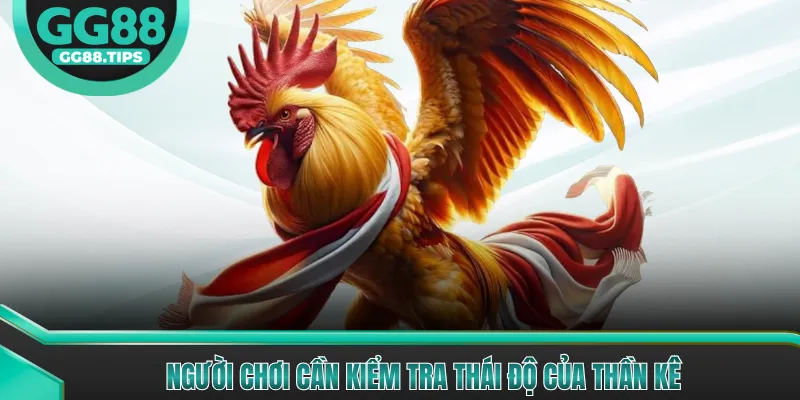Người chơi cần kiểm tra thái độ của thần kê